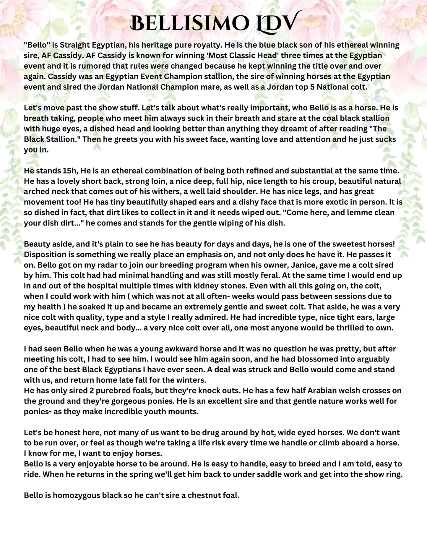 Arabian Horse Yearbook Premium Entry package DIY