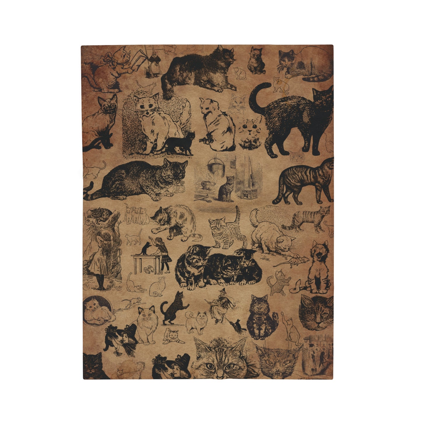 Beautiful Cats Blanket vintage look cats throw funny cats gift stray cats Reddit cats cat whisperer bengal cat Persian cat momma cat lady