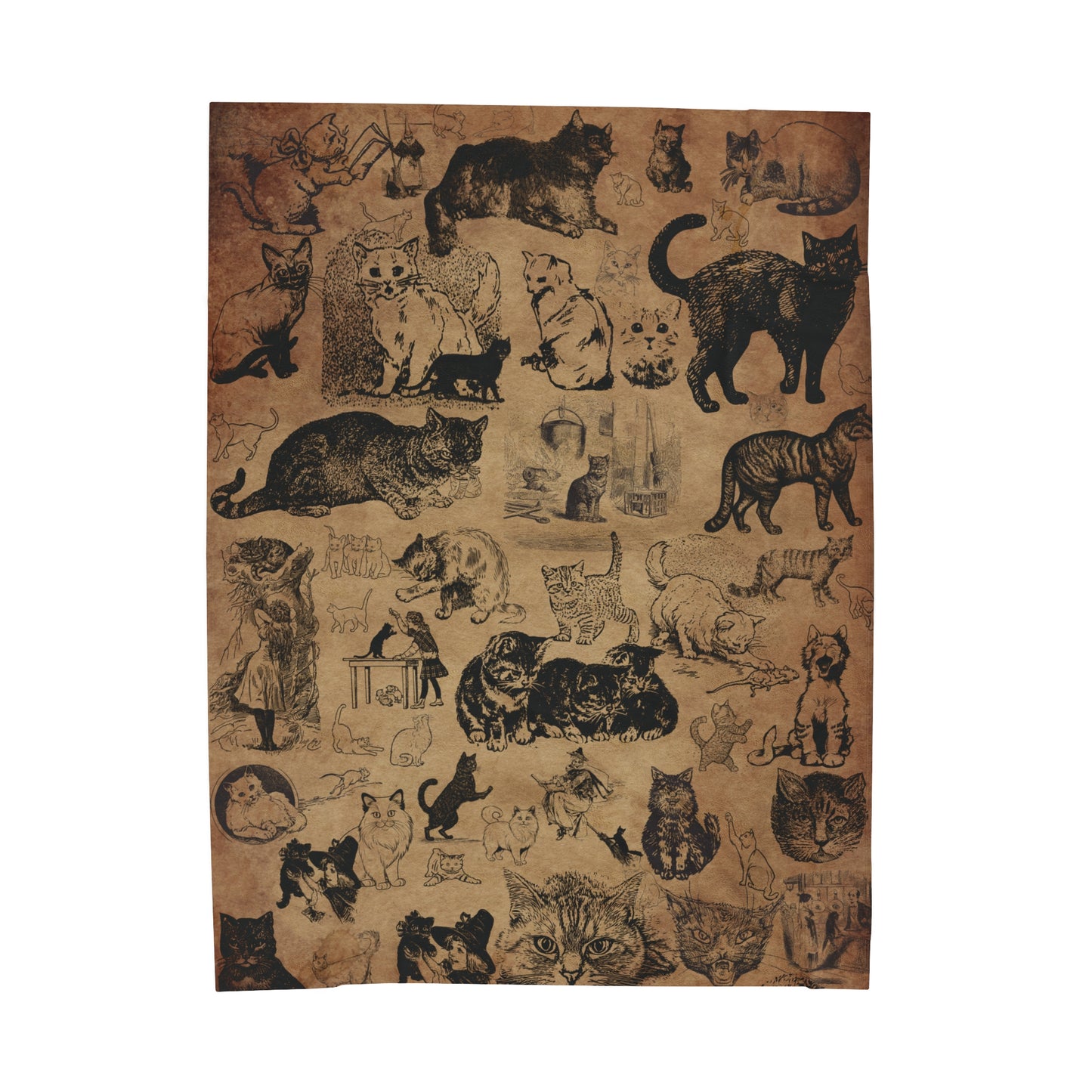 Beautiful Cats Blanket vintage look cats throw funny cats gift stray cats Reddit cats cat whisperer bengal cat Persian cat momma cat lady