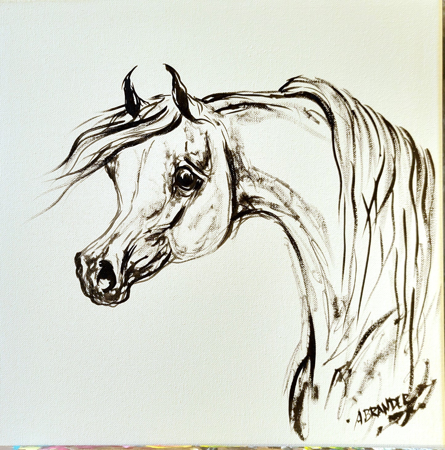 Arabian Horse Sketch Painting on Canvas