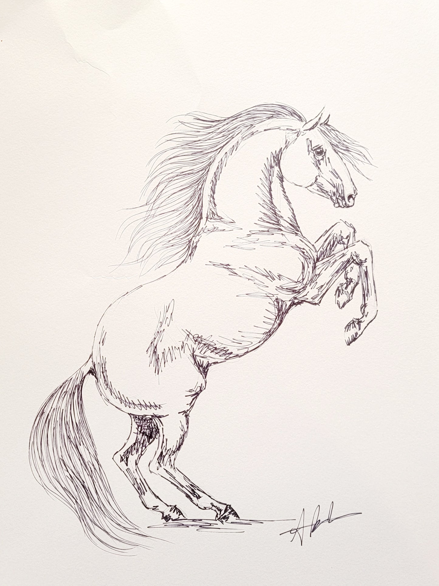 Set of 3 baroque horse sketches