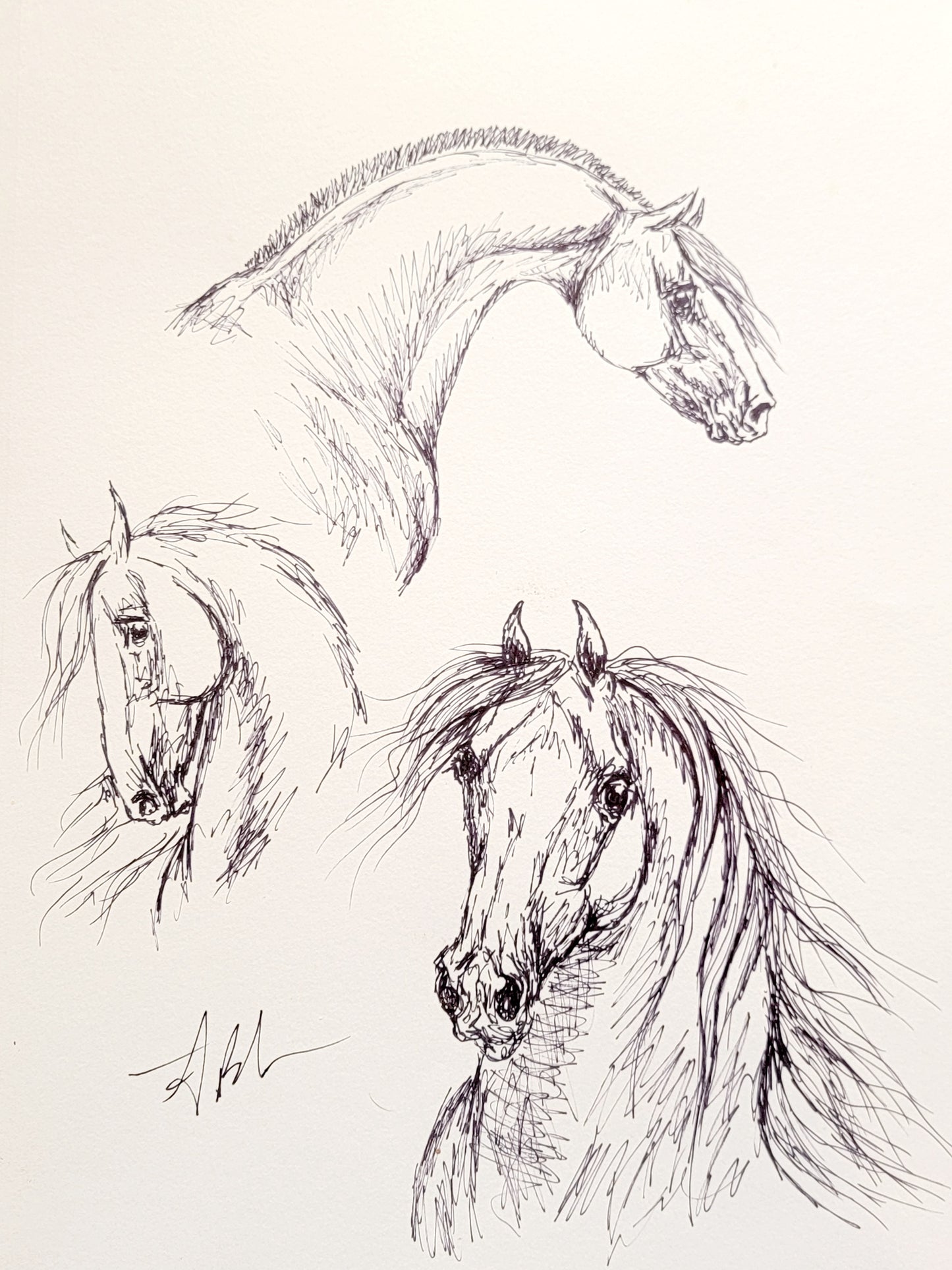 Set of 3 baroque horse sketches