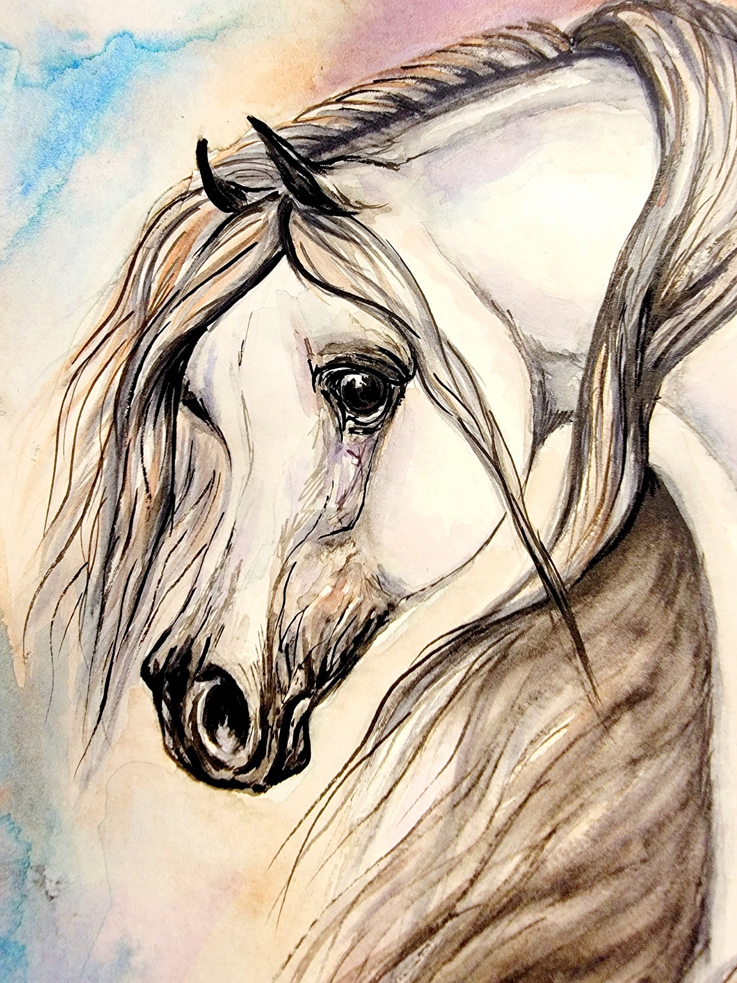 Arabian Horse Watercolor Painting Ethereal