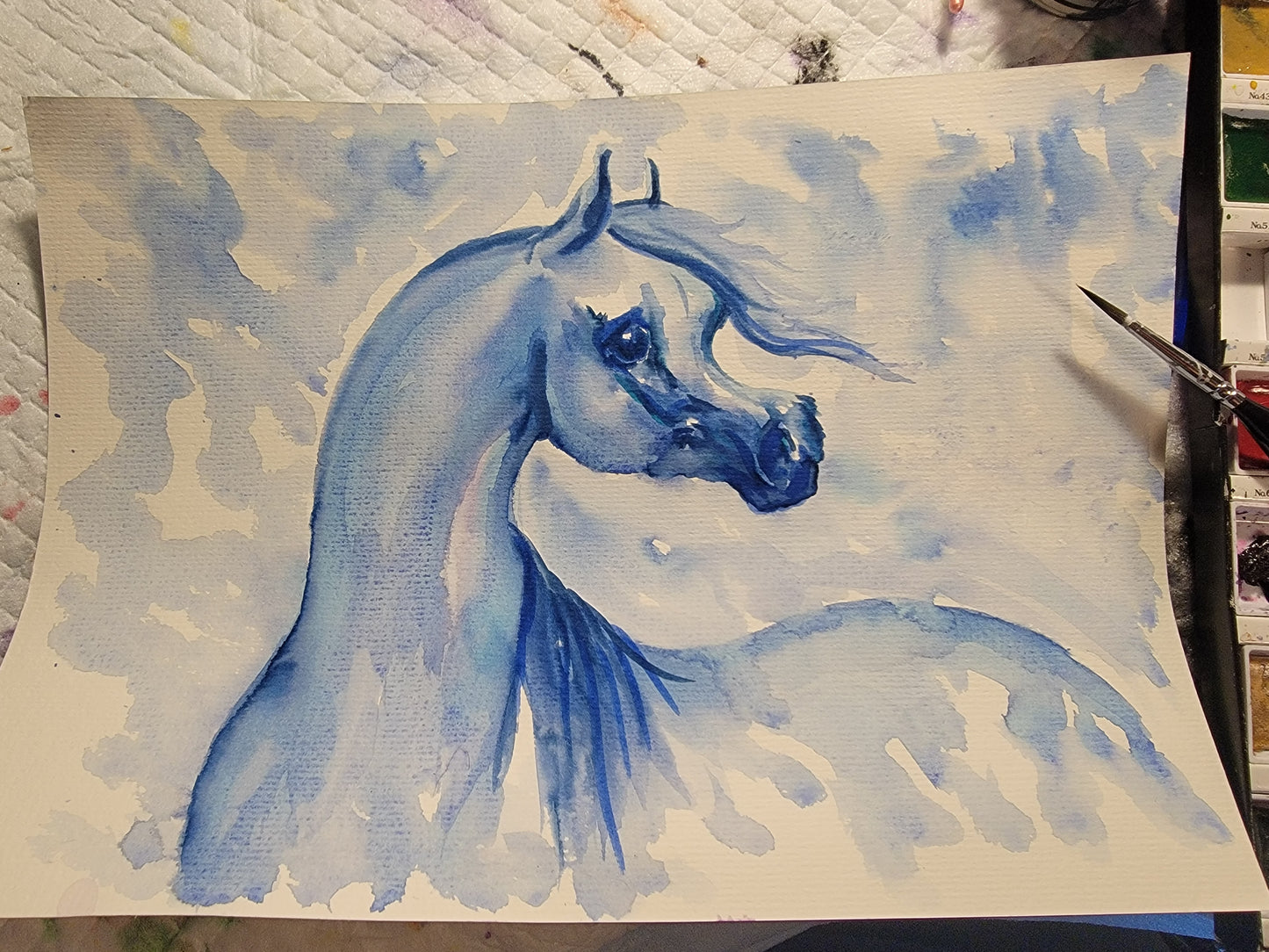 Arabian Horse Watercolor Painting