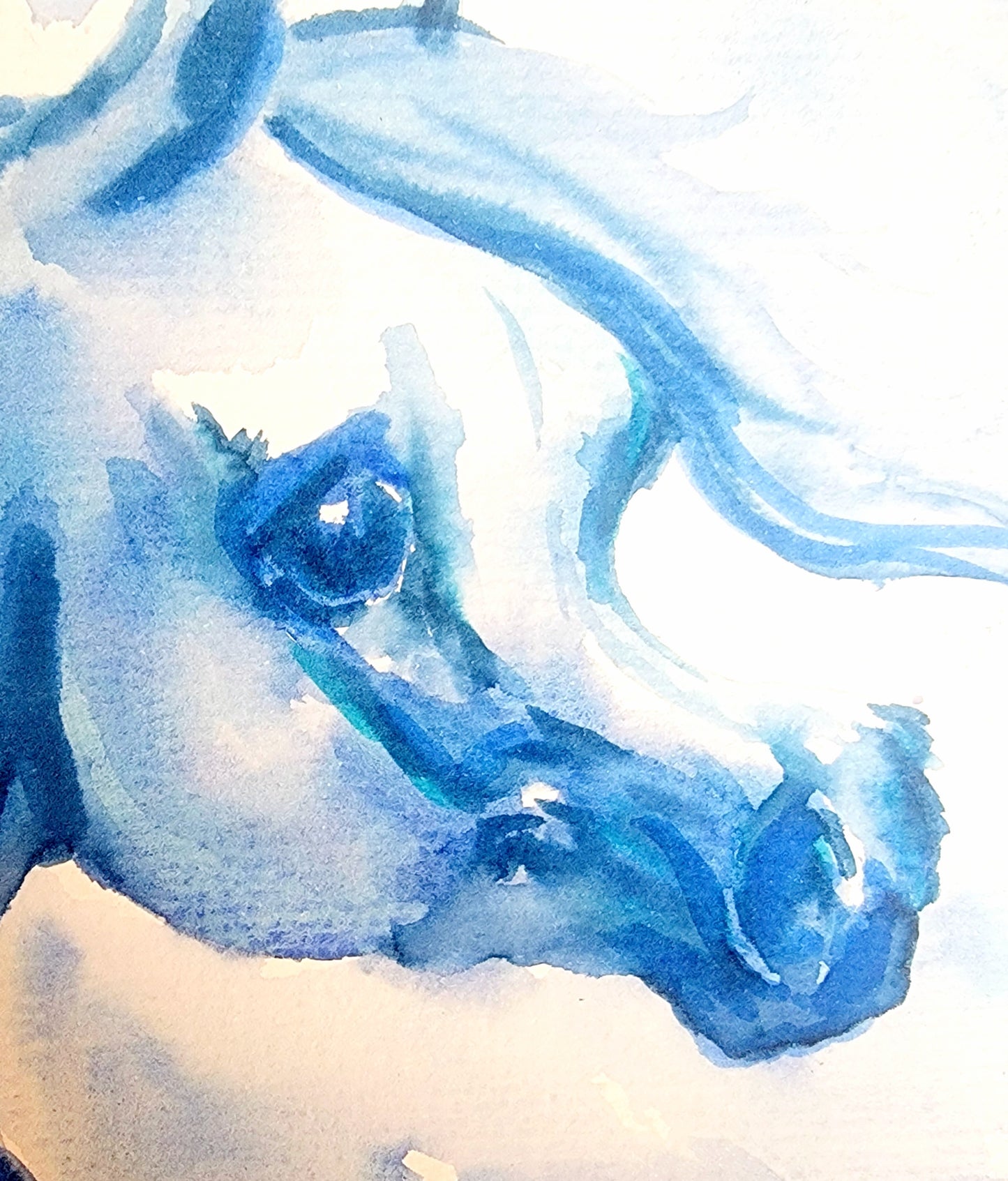 Arabian Horse Watercolor Painting