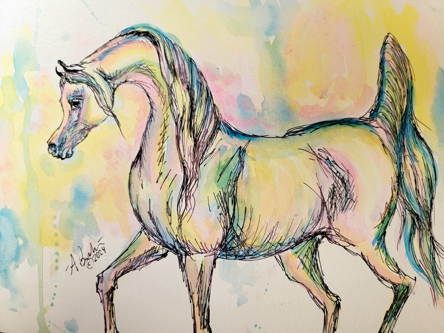 Arabian Horse Watercolor painting with ink