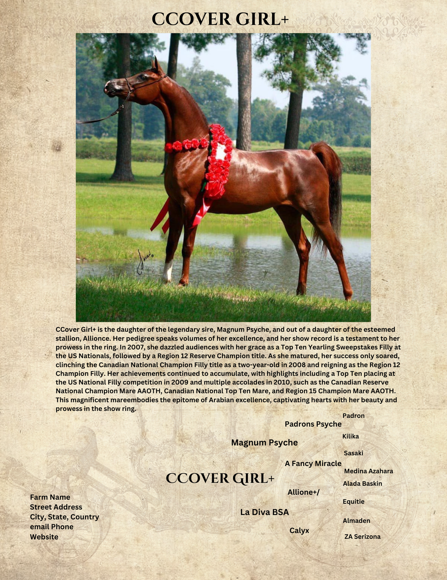 Arabian Horse Yearbook Single Photo Listing