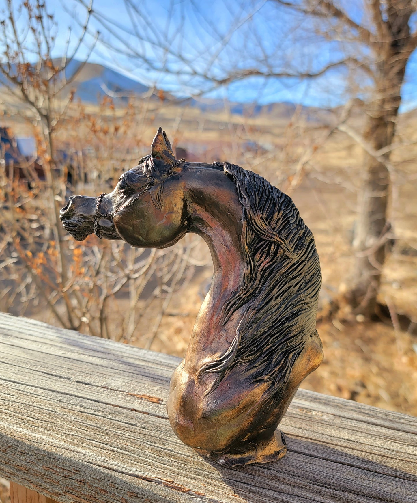 One of a kind Arabian Horse bust artist remarque