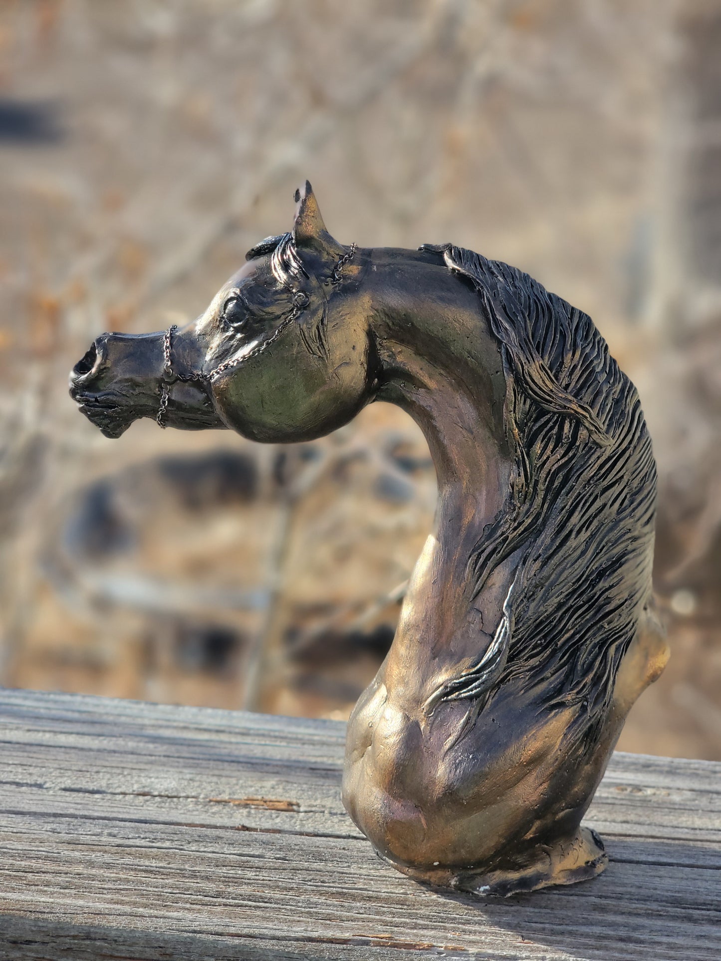 One of a kind Arabian Horse bust artist remarque