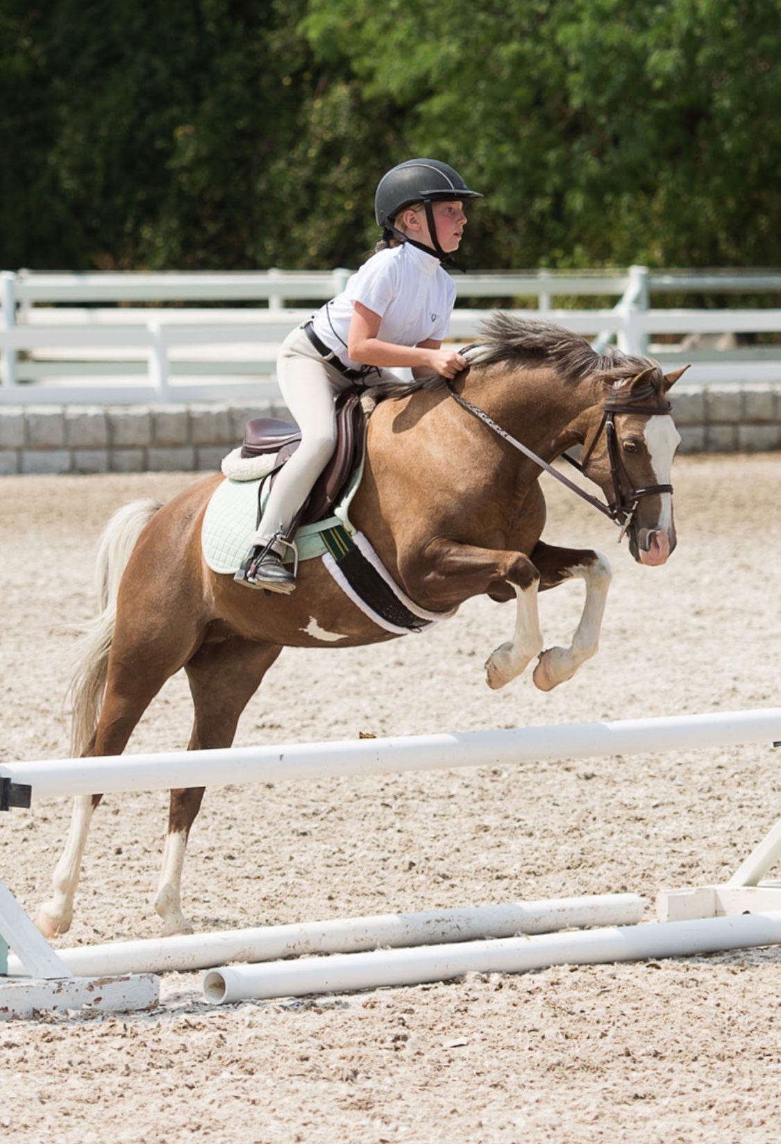 Custom pony sculpture reserved for Lisa P