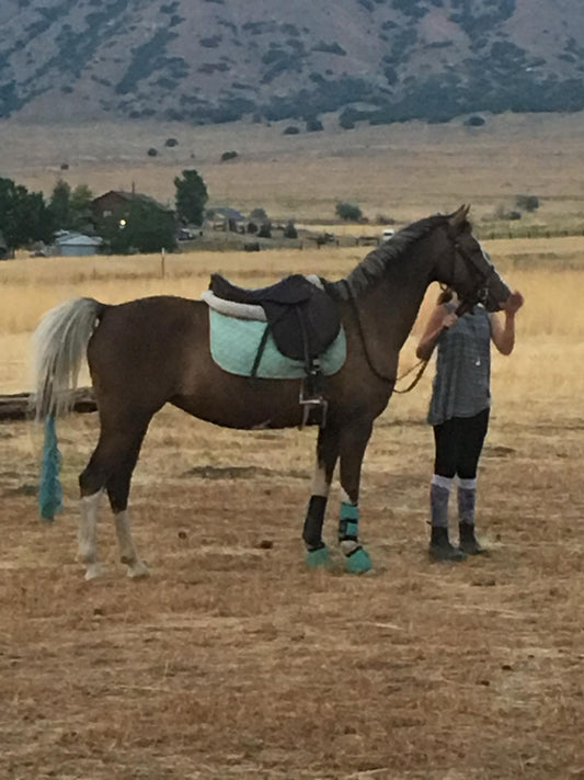 Custom pony sculpture reserved for Lisa P