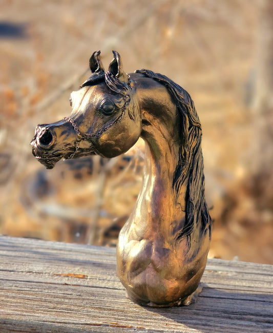 One of a kind Arabian Horse bust artist remarque