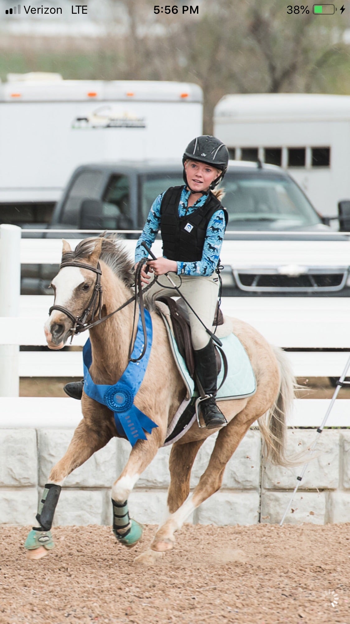 Custom pony sculpture reserved for Lisa P