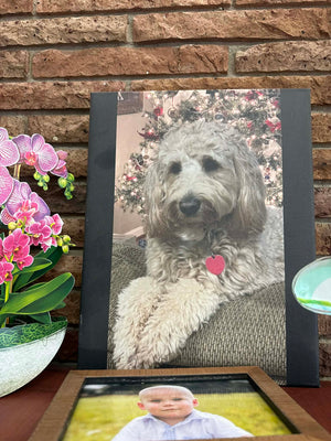 Descriptive image text