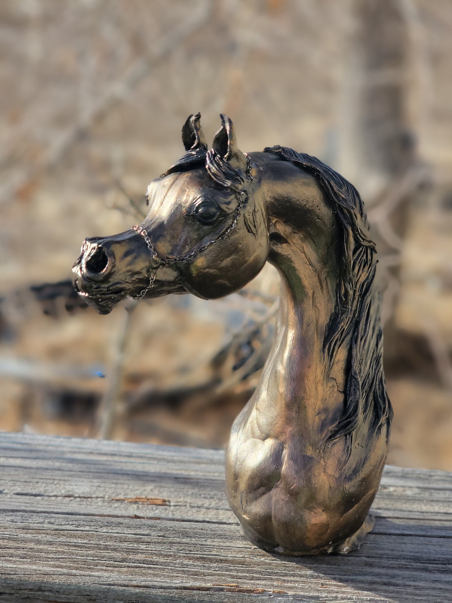 One of a kind Arabian Horse bust artist remarque