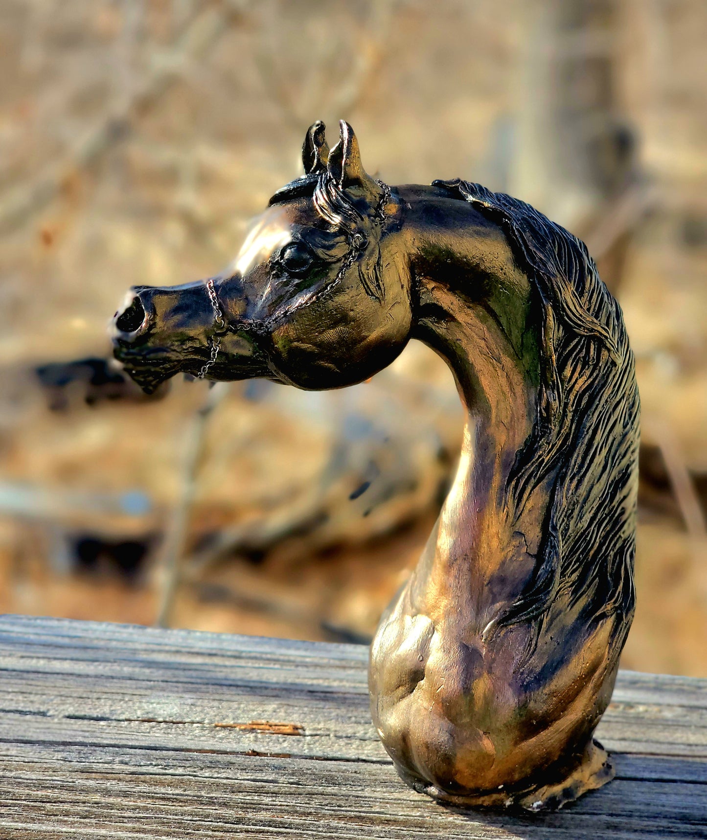 One of a kind Arabian Horse bust artist remarque